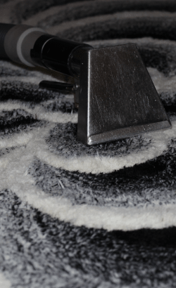 Rug Cleaning