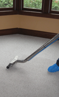 Carpet Cleaning